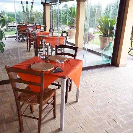 Casa Degli Ulivi Bed & Breakfast Cerveteri