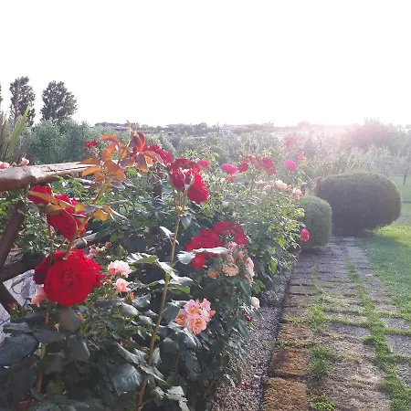 Casa Degli Ulivi 3* Cerveteri
