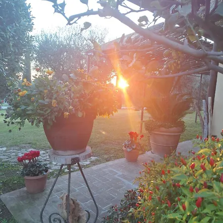 Casa Degli Ulivi 3* Cerveteri