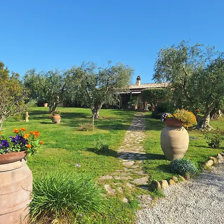 Casa Degli Ulivi Cerveteri