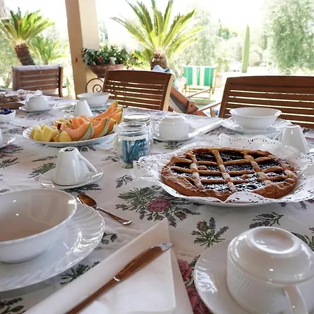 Casa Degli Ulivi Bed and Breakfast Cerveteri