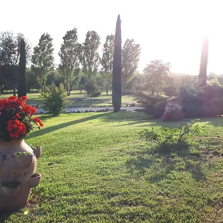 Frühstückspension Casa Degli Ulivi Cerveteri