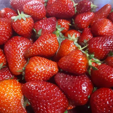 Casa Degli Ulivi 3* Cerveteri