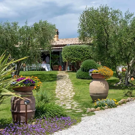 Casa Degli Ulivi 切尔韦泰里